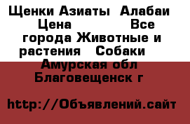 Щенки Азиаты (Алабаи) › Цена ­ 20 000 - Все города Животные и растения » Собаки   . Амурская обл.,Благовещенск г.